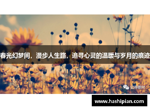 春光幻梦间，漫步人生路，追寻心灵的温暖与岁月的痕迹