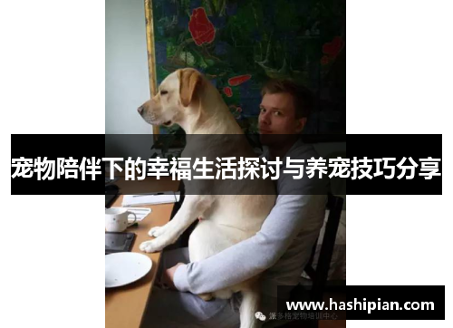 宠物陪伴下的幸福生活探讨与养宠技巧分享