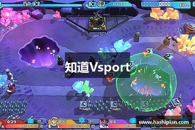 知道Vsport